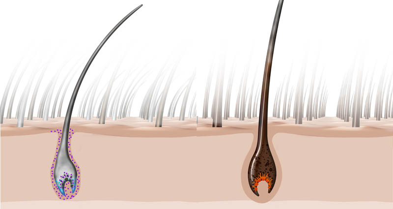 Friseur-Crailsheim-La-Biosthetique-Neues-Jahr-Neue-Pflege-03